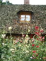 DSCF009^88.htm